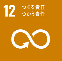 sdg_img_12.png