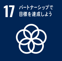 sdg_img_17.png